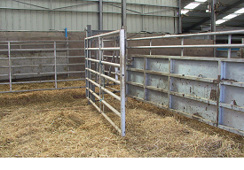 Calving basics