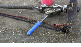 Calving basics