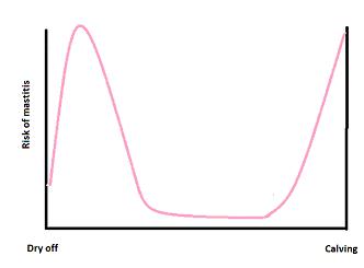 Effect of dry period stage on risk of mastitis