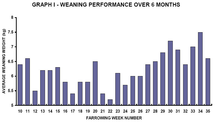 graph1
