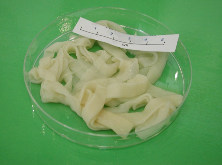 fig5