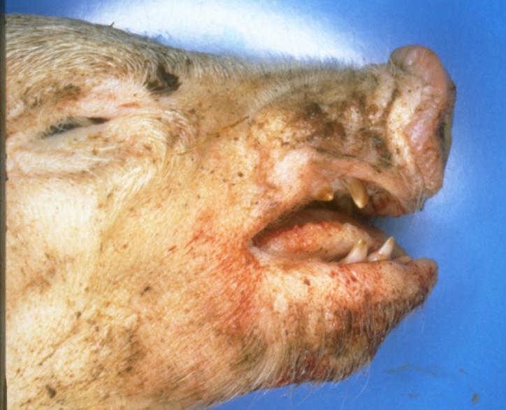 fig3