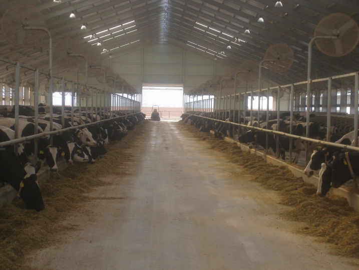 Managing heat stress