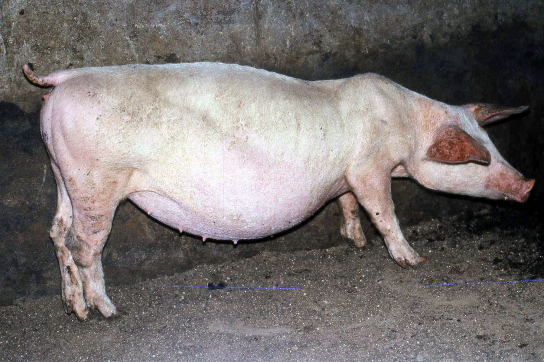 fig3