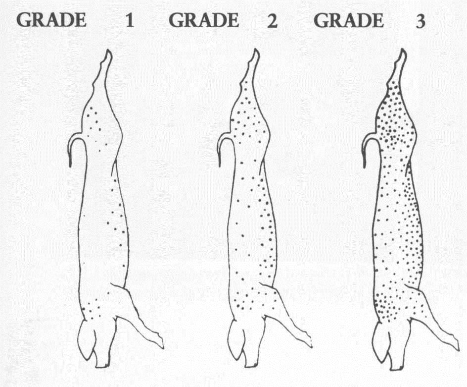 fig4