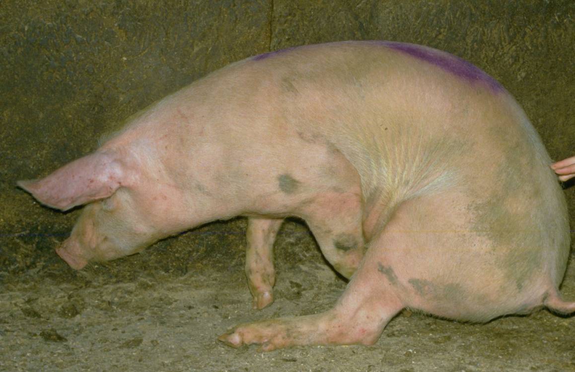 fig3