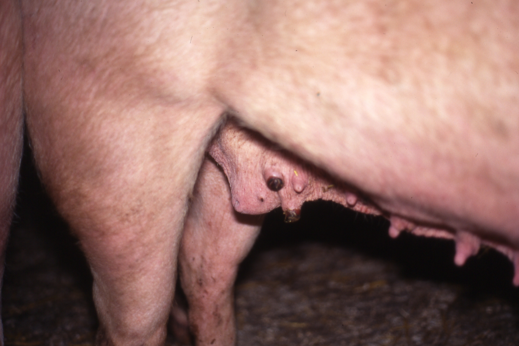 fig3