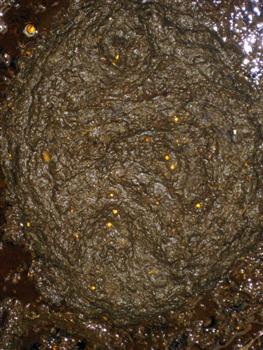 fig4