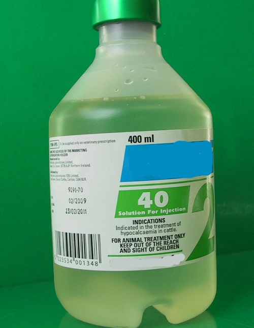 16 Pre lambing ewe nutrition and metabolic diseases intravenous medication