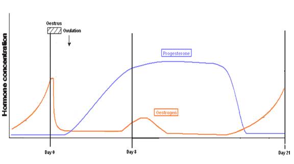 2 dairy herd fertility hormones oestrus cycle