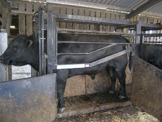15 an ideal handling facility