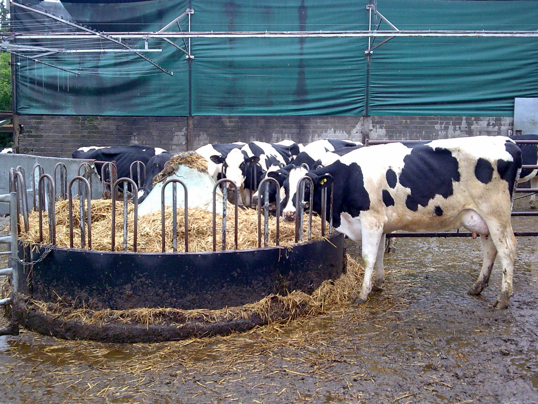 4 presentation and access to the ration